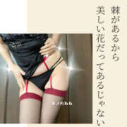 ヒメ日記 2025/03/09 10:42 投稿 木ノ内ねね 五十路マダム姫路店