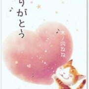 ヒメ日記 2025/03/17 21:30 投稿 木ノ内ねね 五十路マダム姫路店