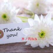 ヒメ日記 2025/03/23 02:34 投稿 木ノ内ねね 五十路マダム姫路店