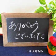 ヒメ日記 2025/03/31 20:44 投稿 木ノ内ねね 五十路マダム姫路店