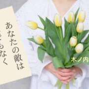 ヒメ日記 2025/04/24 08:34 投稿 木ノ内ねね 五十路マダム姫路店