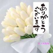 ヒメ日記 2025/05/06 22:24 投稿 木ノ内ねね 五十路マダム姫路店