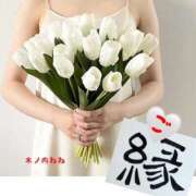 ヒメ日記 2025/05/13 19:48 投稿 木ノ内ねね 五十路マダム姫路店