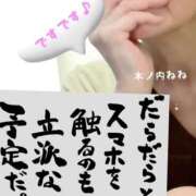 ヒメ日記 2025/05/17 09:12 投稿 木ノ内ねね 五十路マダム姫路店
