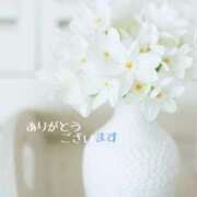 ヒメ日記 2025/05/19 22:20 投稿 木ノ内ねね 五十路マダム姫路店