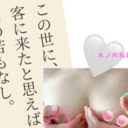 ヒメ日記 2025/06/05 07:48 投稿 木ノ内ねね 五十路マダム姫路店