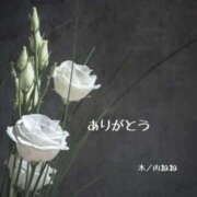 ヒメ日記 2025/06/07 03:32 投稿 木ノ内ねね 五十路マダム姫路店