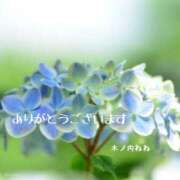 ヒメ日記 2025/06/21 12:54 投稿 木ノ内ねね 五十路マダム姫路店