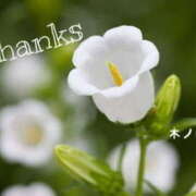 ヒメ日記 2025/08/10 09:12 投稿 木ノ内ねね 五十路マダム姫路店