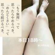 ヒメ日記 2025/08/16 12:30 投稿 木ノ内ねね 五十路マダム姫路店