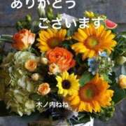 ヒメ日記 2025/08/23 01:30 投稿 木ノ内ねね 五十路マダム姫路店