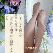 ヒメ日記 2025/09/23 07:26 投稿 木ノ内ねね 五十路マダム姫路店