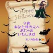 ヒメ日記 2025/10/31 07:30 投稿 木ノ内ねね 五十路マダム姫路店