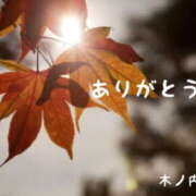 木ノ内ねね 【お礼】 五十路マダム姫路店