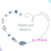 木ノ内ねね 【5日〜お礼】 五十路マダム姫路店