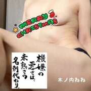 ヒメ日記 2025/12/24 10:10 投稿 木ノ内ねね 五十路マダム姫路店