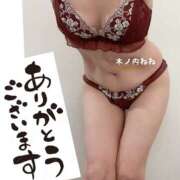 ヒメ日記 2025/12/30 01:02 投稿 木ノ内ねね 五十路マダム姫路店