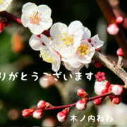 ヒメ日記 2026/02/27 08:52 投稿 木ノ内ねね 五十路マダム姫路店