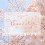 木ノ内ねね 【お礼】 五十路マダム姫路店