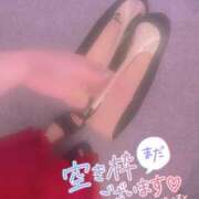 ヒメ日記 2025/05/14 14:56 投稿 えみり スイカ