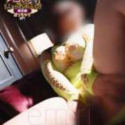 ヒメ日記 2025/09/07 07:31 投稿 えみり スイカ