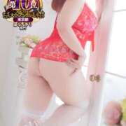 ヒメ日記 2025/12/17 16:29 投稿 えみり スイカ