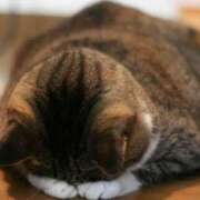 ヒメ日記 2025/04/17 08:48 投稿 まり 静岡人妻援護会