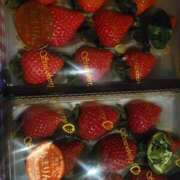 ヒメ日記 2026/01/24 22:04 投稿 まり 静岡人妻援護会