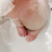 ヒメ日記 2024/12/19 06:13 投稿 あめり 新宿人妻城