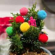 ヒメ日記 2024/12/25 01:58 投稿 あめり 新宿人妻城