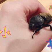 ヒメ日記 2025/01/14 00:20 投稿 あめり 新宿人妻城