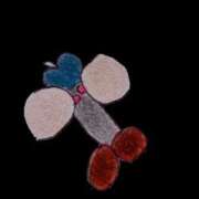 ヒメ日記 2025/02/10 09:36 投稿 あめり 新宿人妻城