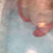 ヒメ日記 2025/02/11 06:49 投稿 あめり 新宿人妻城