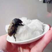 ヒメ日記 2025/04/24 18:53 投稿 あめり 新宿人妻城