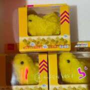 ヒメ日記 2025/05/03 23:07 投稿 あめり 新宿人妻城