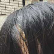 ヒメ日記 2025/06/14 05:34 投稿 あめり 新宿人妻城