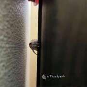 ヒメ日記 2025/07/06 09:02 投稿 あめり 新宿人妻城