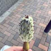 ヒメ日記 2025/08/24 15:14 投稿 あめり 新宿人妻城