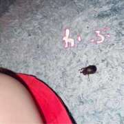 ヒメ日記 2025/08/25 00:41 投稿 あめり 新宿人妻城