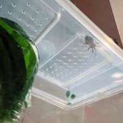 ヒメ日記 2025/10/28 05:54 投稿 あめり 新宿人妻城