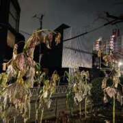 ヒメ日記 2025/12/03 01:20 投稿 あめり 新宿人妻城