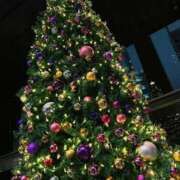 ヒメ日記 2025/12/25 02:27 投稿 あめり 新宿人妻城