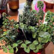 ヒメ日記 2026/02/09 09:14 投稿 あめり 新宿人妻城