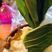 ヒメ日記 2026/04/02 16:30 投稿 あめり 新宿人妻城