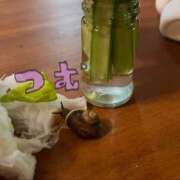 ヒメ日記 2026/04/11 08:01 投稿 あめり 新宿人妻城