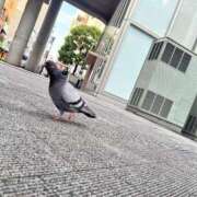 ヒメ日記 2026/04/28 14:40 投稿 あめり 新宿人妻城