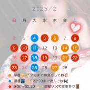 ヒメ日記 2025/02/01 08:40 投稿 みらい XSTASY（エクスタシー）