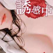 ヒメ日記 2025/03/17 01:58 投稿 みらい XSTASY（エクスタシー）