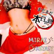 ヒメ日記 2025/12/17 12:00 投稿 みらい XSTASY（エクスタシー）