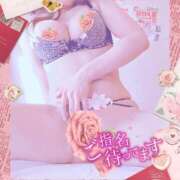 ヒメ日記 2026/01/08 12:00 投稿 みらい XSTASY（エクスタシー）